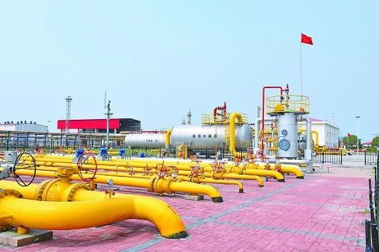 在重视发展教育的同时