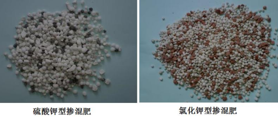 外媒曝特朗普对日不满正在积累