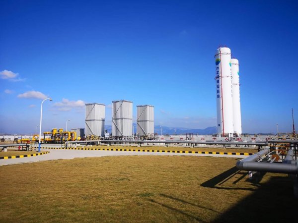 潜逃泰国多年后落网