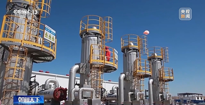 精准推进道路绿化升级、公园绿地优化