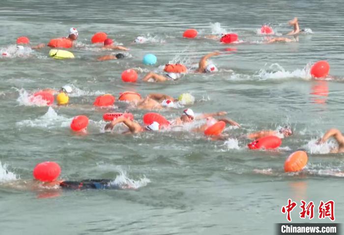云南绥江：261名选手在金沙江中奋“泳”争先，